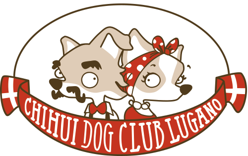 Chihui Dog Club Lugano: I Want You